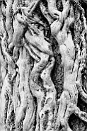 slides/DSC_1351.JPG  