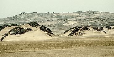 slides/DSC_7761.jpg  