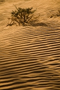 slides/DSC_8619.jpg  