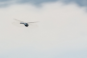 slides/DSC_8785.jpg  